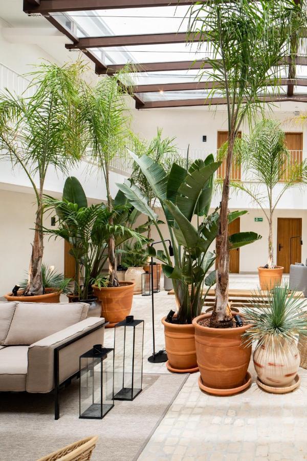 Hotel Porfirio Picota - Adults Recommended Захара-де-лос-Атунес Экстерьер фото